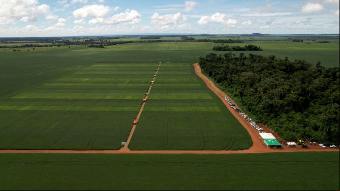 Dia de campo da cooperativa Copama de Cerejeiras - Crédito de imagem aérea: Diogo Rafanon